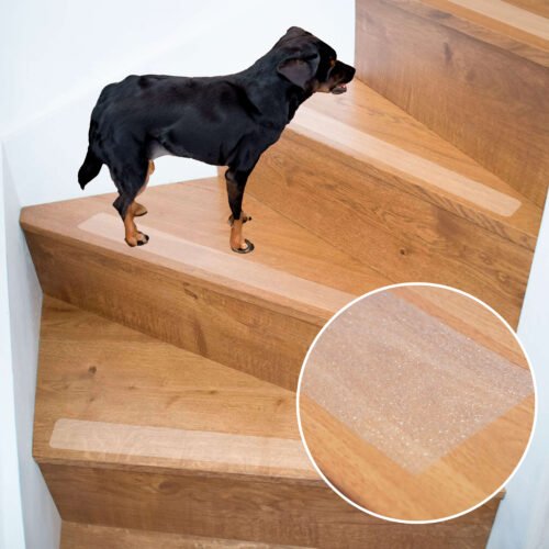 Dog on stairs grafika 2 1