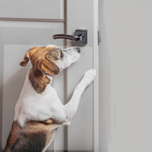 Ochrona mebli folie drapaki